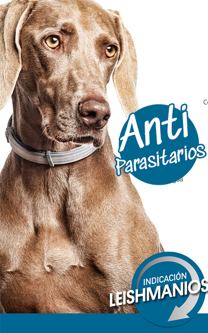 ANTIPARASITARIOS