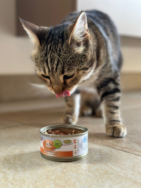 ALIM. HÚMEDA PARA GATOS